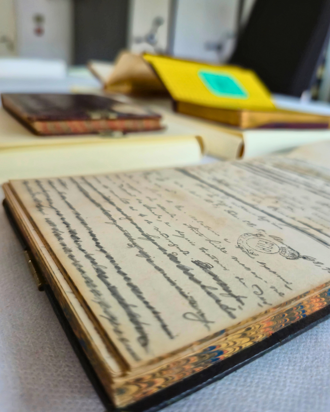 Transcrições dos diários de d. Pedro II (1840 – 1891)